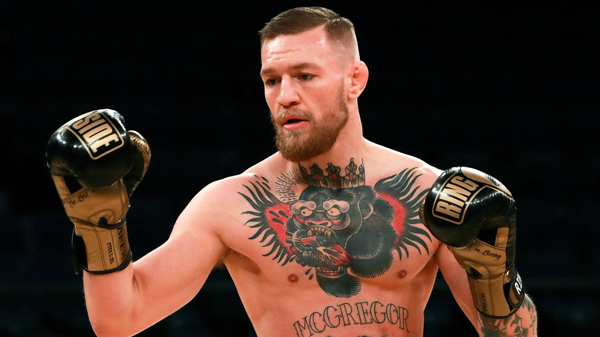 wallpaper 4k Conor McGregor