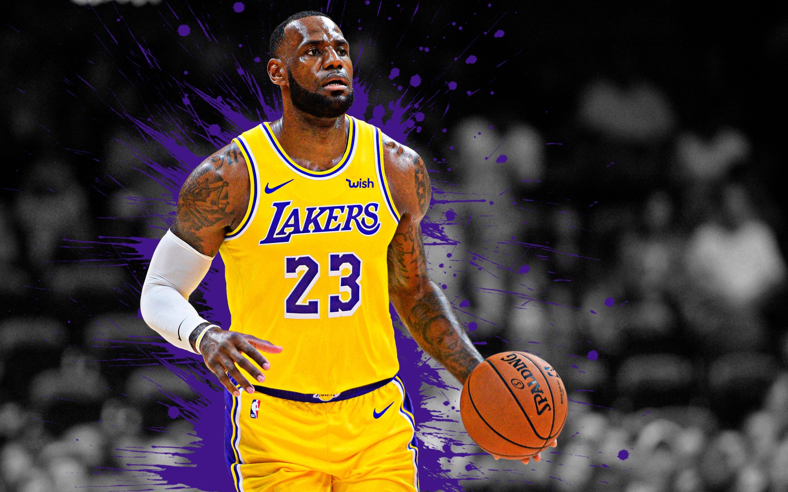 Lebron James NBA